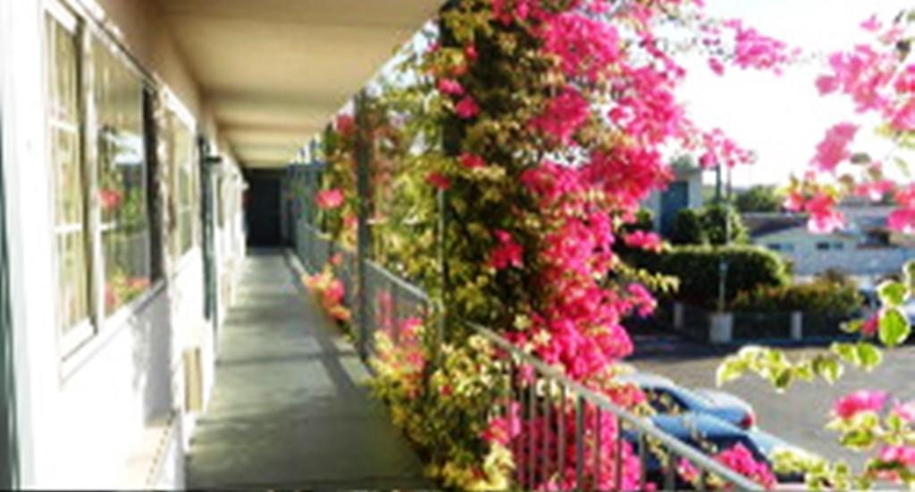 Antioch Executive Inn מראה חיצוני תמונה